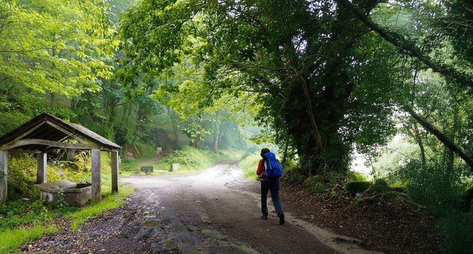 Señal del Camino Primitivo a su paso por Castroverde, Lugo