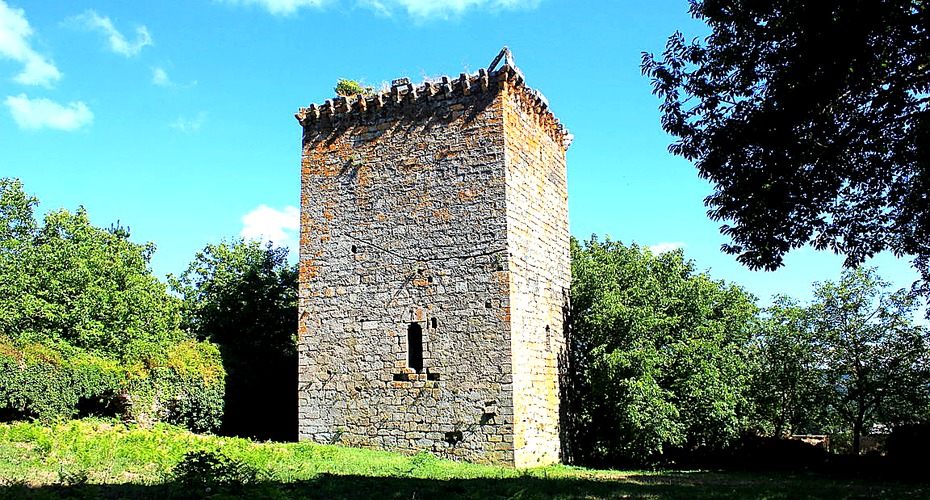 Torre-Castillo de Castroverde, fortaleza medieval del siglo XIV declarada Bien de Interés Cultural