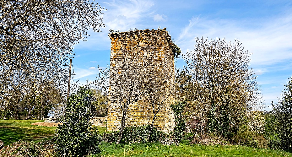 Torre de Homenaje del castillo medieval de Castroverde sobre la colina, Bien de Interés Cultural